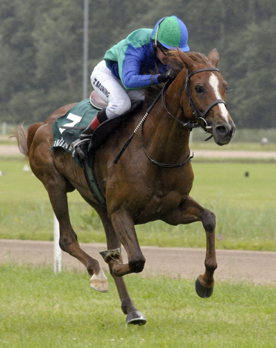 Serouda du Breuil Dormane x Jamaa du Breuil vainqueur
		Author: WIM HUYBERS
		Date: 2011:12:31 12:35:42