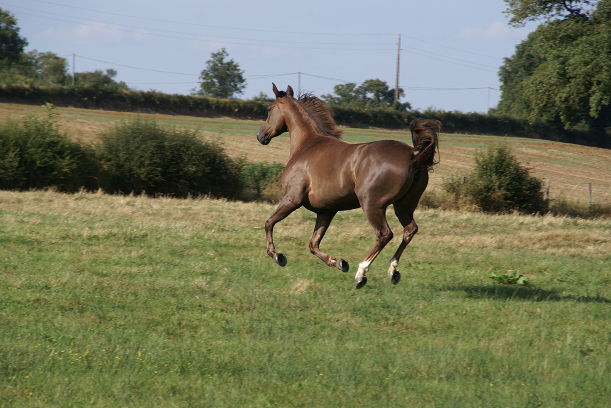 Vega du Clos
		Date: 2013:08:04 17:02:27